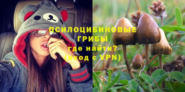 spice Кодинск