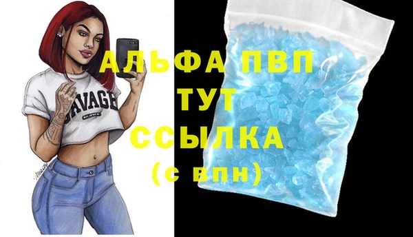 хмурый Козловка