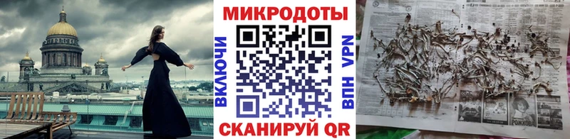 Галлюциногенные грибы Psilocybine cubensis  Купить где  Туапсе 